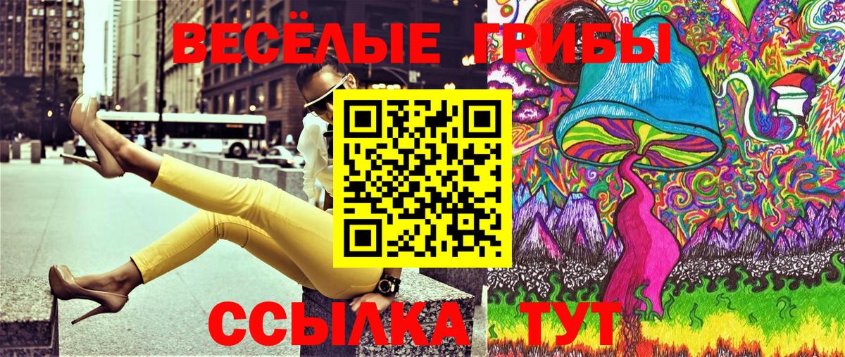 Псилоцибиновые грибы GOLDEN TEACHER  Вход с VPN  Курск 